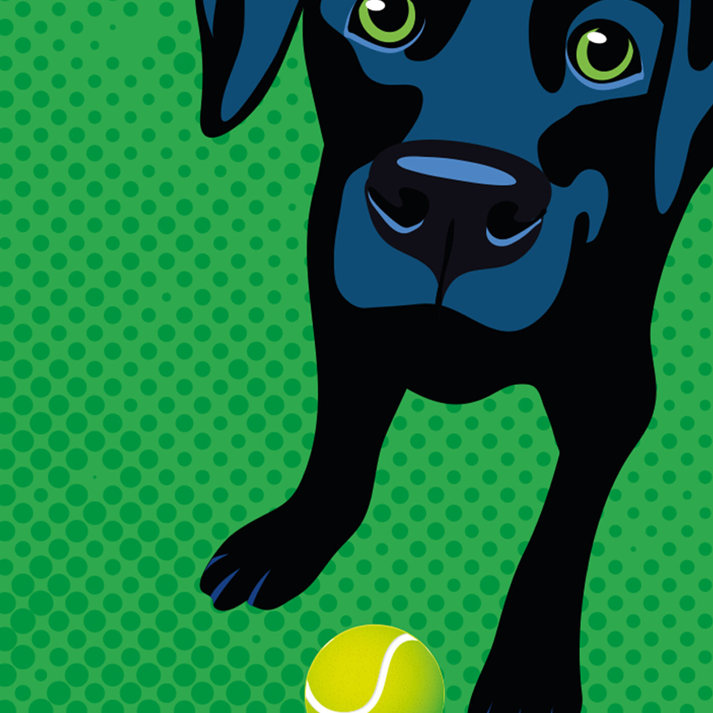 Fetch
