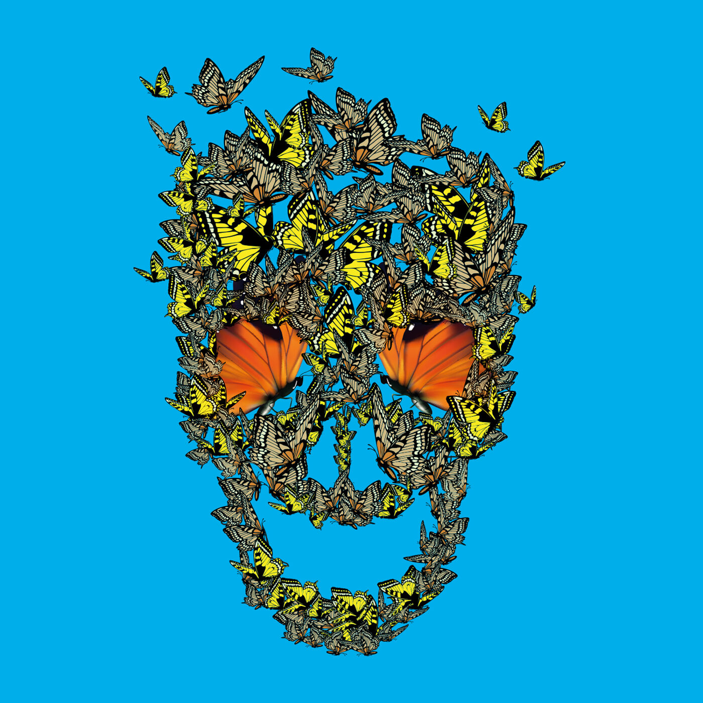 Moth Head