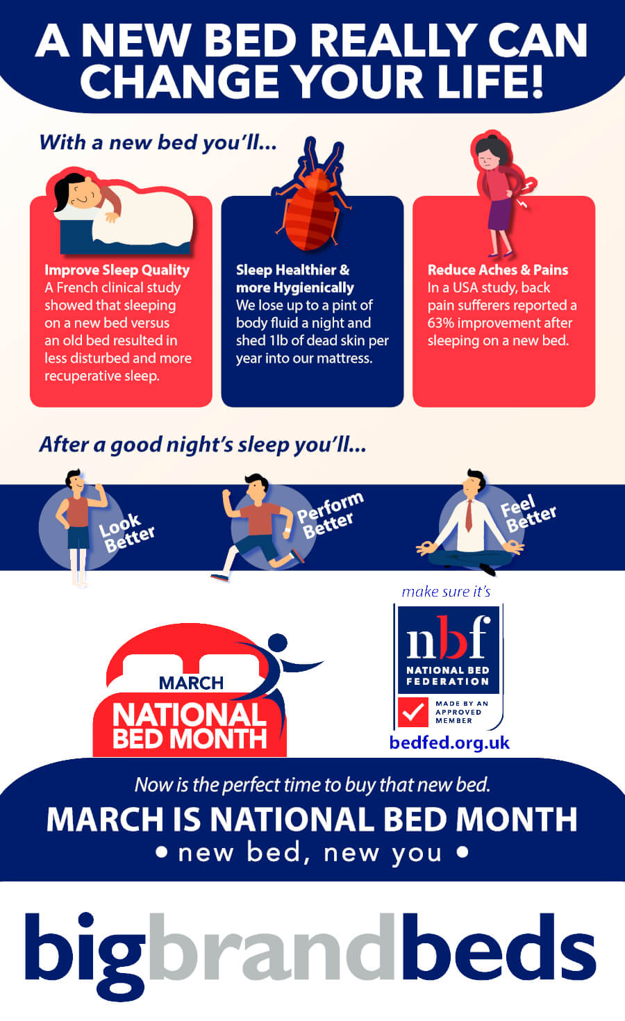 Bed Month Infographic