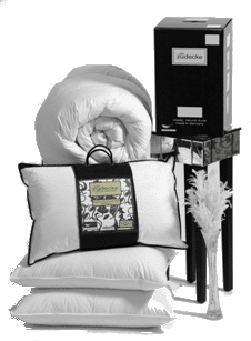 Canadian white snow goose down clearance duvet