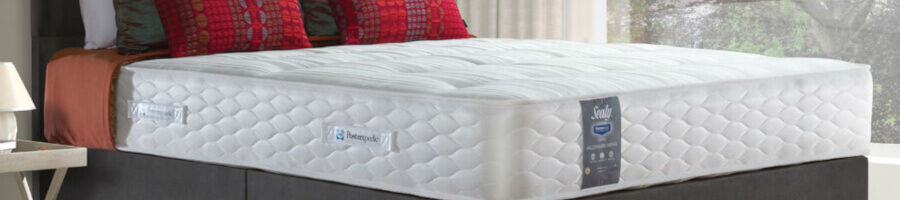 Sealy Mattress Reviews