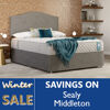 Sealy Middleton Divan Bed
