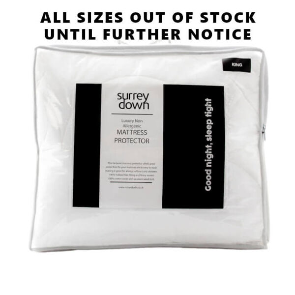 Surrey Down Non Allergenic Mattress Protector Double