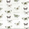 SJ A BUT 188 Butterfly SJ A BUT 188 Butterfly