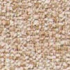 SJ B BEL1967 Almond SJ B BEL1967 Almond