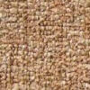 SJ B BEL1968 Barley SJ B BEL1968 Barley
