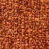 SJ B BEL1977 Apricot SJ B BEL1977 Apricot
