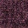 SJ B BEL1981 Plum SJ B BEL1981 Plum
