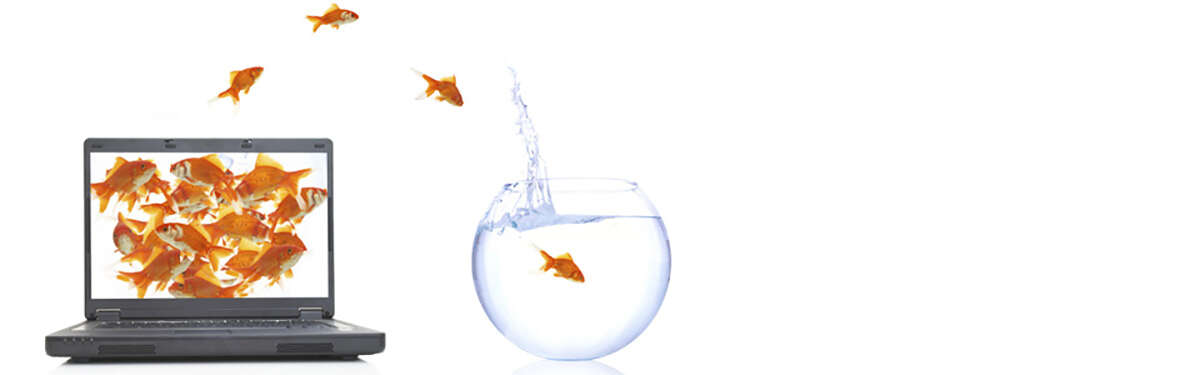 Generation Z (GenZ) - life after Millennials?