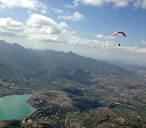 Cp soaring with vultures in El Bosque