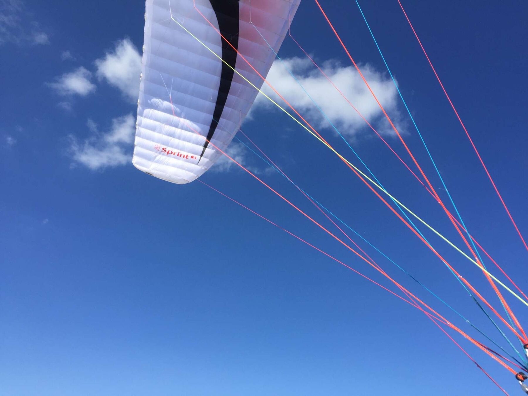 Lightweight paraglider wings