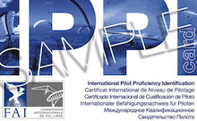 Ippi qualifications for paraglider pilots