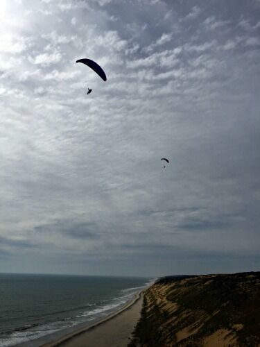 How do I learn to soar paragliders?