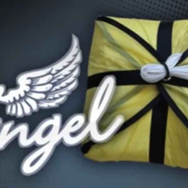 Everyone Needs an Angel, Decent descent rate combined with light weight materials and great prices