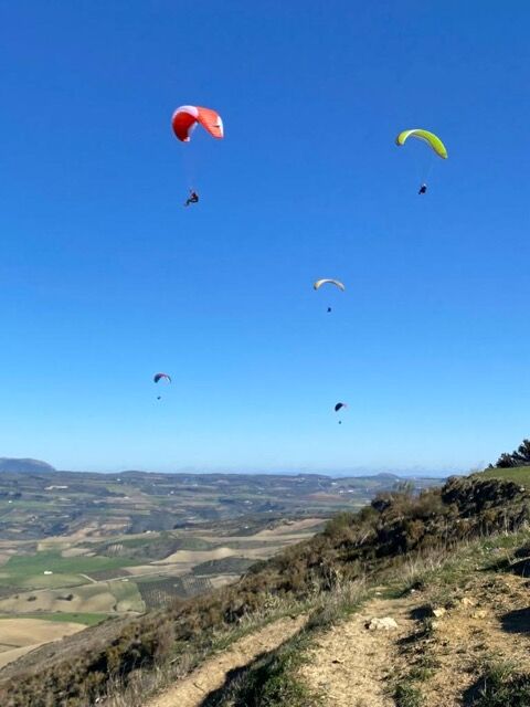 learn to soar with seasoned paraglider school