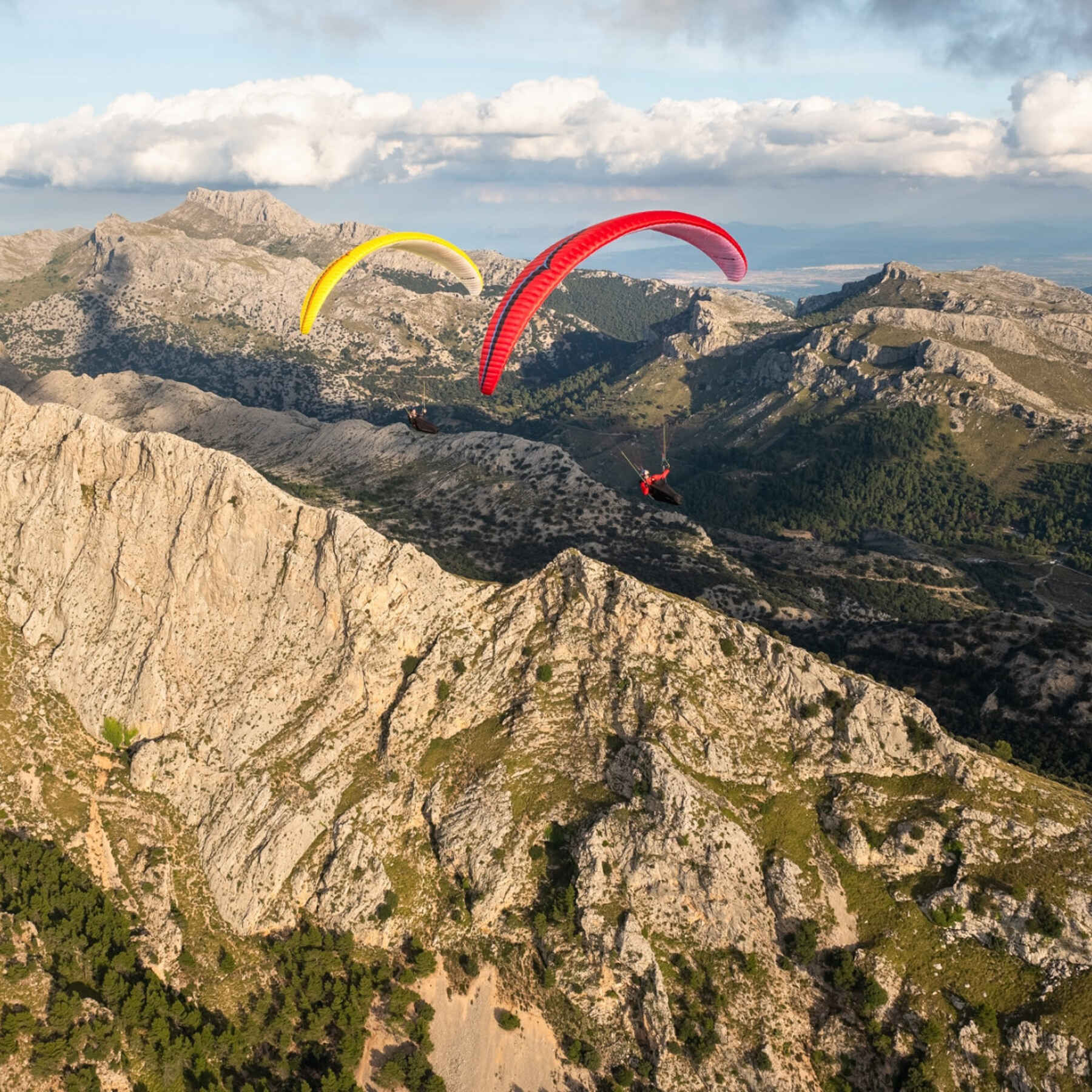 Ozone Alpiina 4