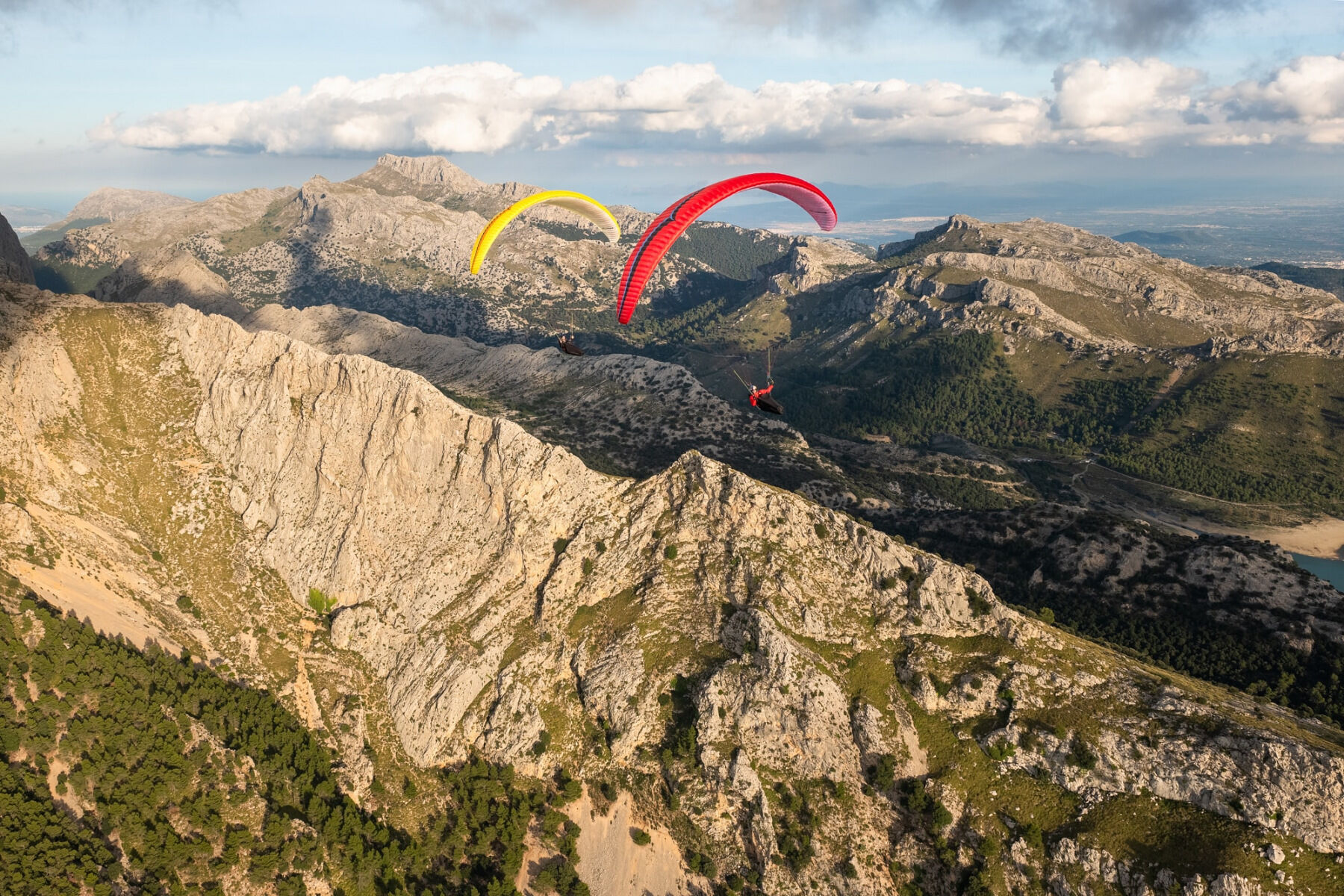 Ozone Alpiina 4
