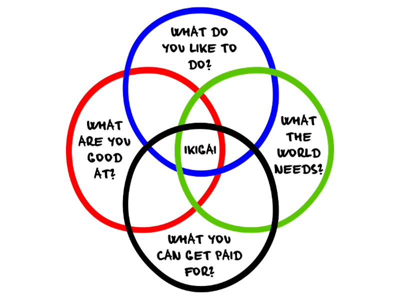 What Is Your Ikigai?