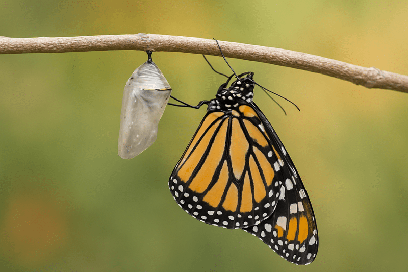 Transformational Leadership: Unleash Your Breakthrough Potential Transformational Leadership: Unleash Your Breakthrough Potential