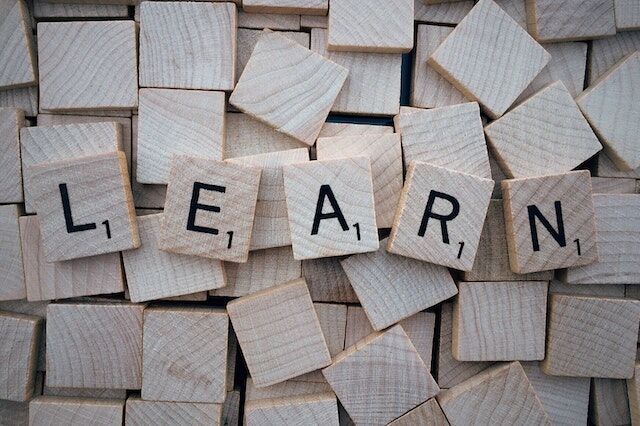 The word learn is written with wooden letters to emphasise the role of continuous education in career advancement.