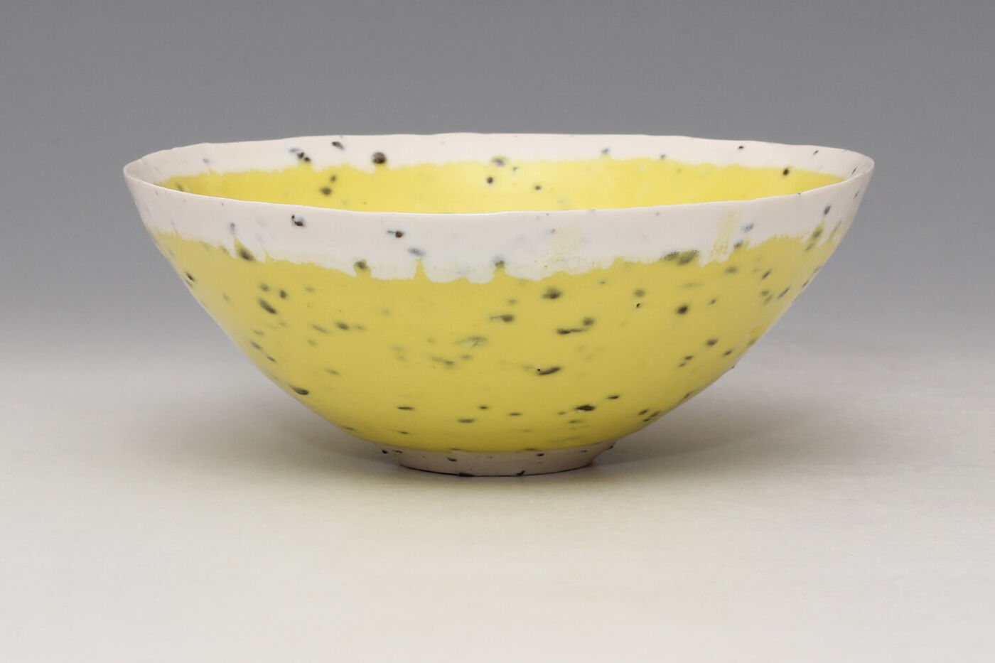 Peter Wills Grogged Porcelain Bowl 220