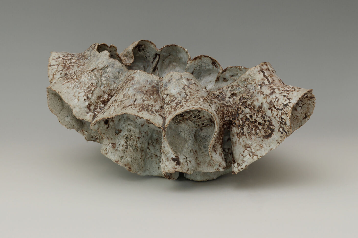 Beverley Bell-Hughes Ceramic Vessel 'Sea Cribb' 02 Beverley Bell-Hughes Ceramic Vessel 'Sea Cribb' 02