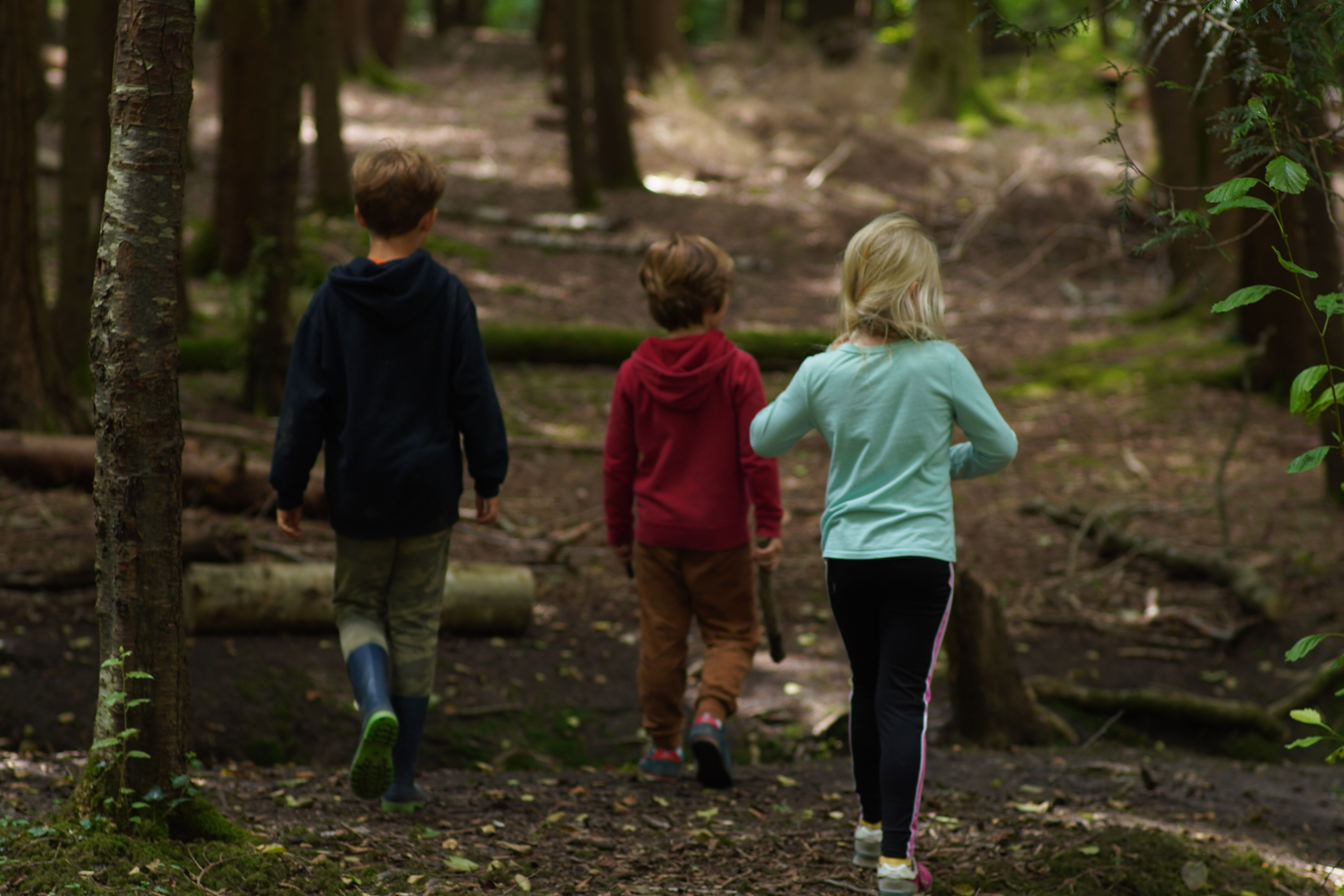 Parkwood Scout Camp near Devil's Dyke & Poynings, Brighton & Hove