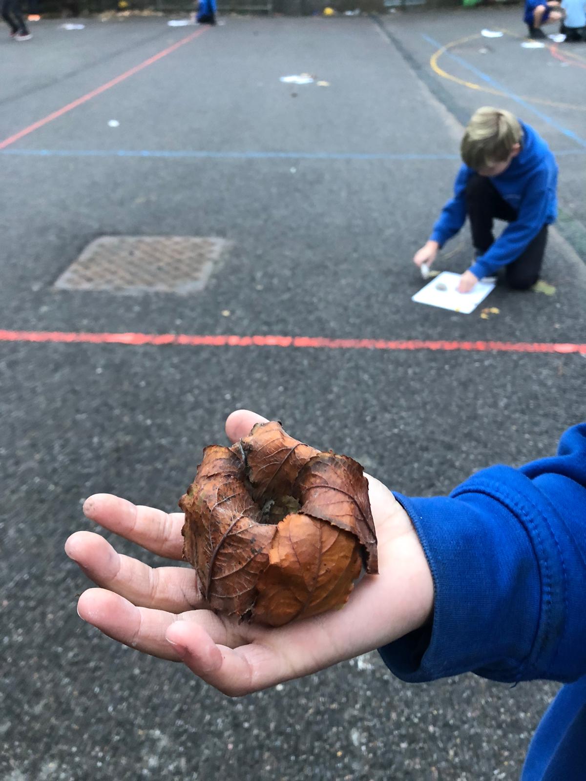 Leaf Bowls - The Outdoors Project - autumn term 2022