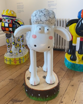 Shaun by the sea - The Outdoors Project Brighton & Hove 7