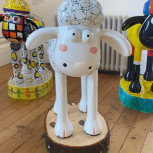 Shaun By The Sea | Brighton & Hove