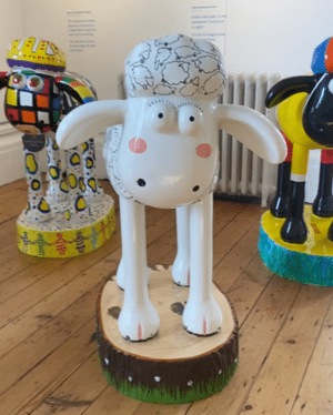 Shaun By The Sea | Brighton & Hove