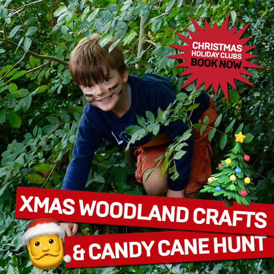 Xmas Woodland Crafts & Candy Cane Hunt