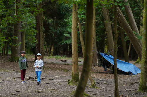 kids playing in woods 