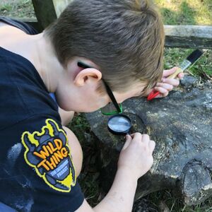 Nature Detectives - Fun Stuff to Do!