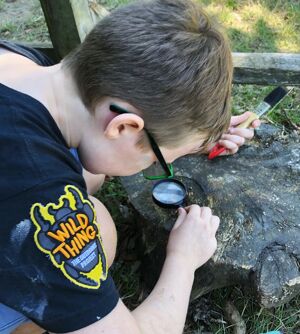 Nature Detectives - Fun Stuff to Do!