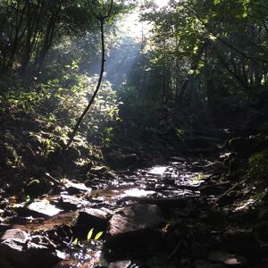 Bristol Holiday Club Stream Walk