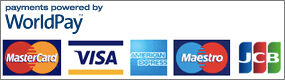 WorldPay - Accepted payment types