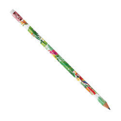 Evolution Recycled Eraser Pencil