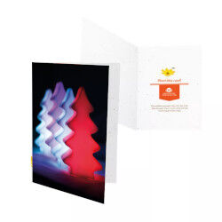 Seed paper greeting cards