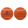 Custom Printed Tennis Balls (sample branding)