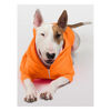 Hoodies for Dogs - Orange