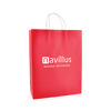 Large Twist Handle Paper Bags in Red