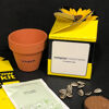Mini Box Plant Growing Kit (sunflower)
