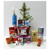 Mini Box Plant Growing Kit (Christmas tree)