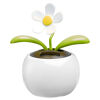 Solar Flower in Pot - White