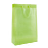 Recyclable Transparent Bags with A4 Windows - Green