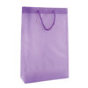 Recyclable Transparent Bags with A4 Windows - Lilac