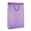 Recyclable Transparent Bags with A4 Windows - Lilac Recyclable Transparent Bags with A4 Windows - Lilac