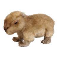 Custom printed capybara soft toy