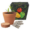 Green Promotions with Plants Seeds